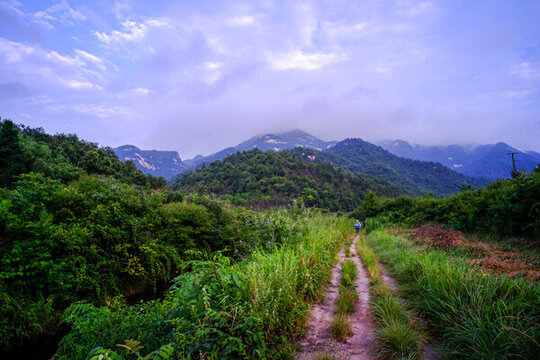 大悟龍?zhí)讹L(fēng)景
