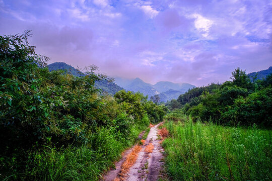大悟龍?zhí)讹L(fēng)景