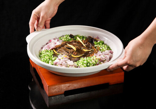甲魚(yú)