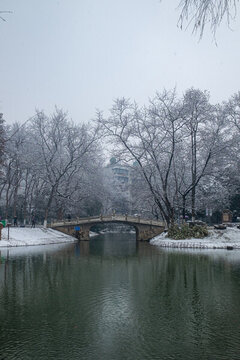 解放公園雪景