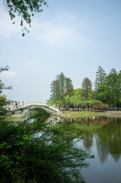 武漢東湖風(fēng)景