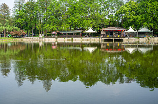 武漢東湖風(fēng)景