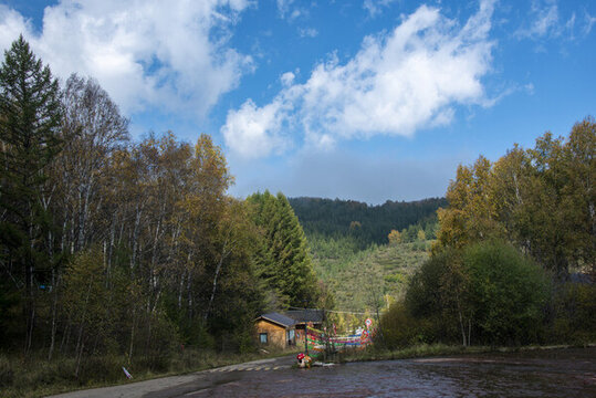 翠云山森林