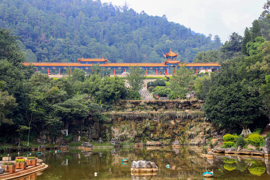 云南玉溪易門龍泉國家森林公園