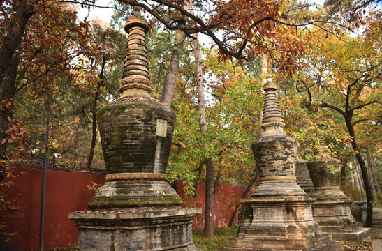 北京潭柘寺古代塔林