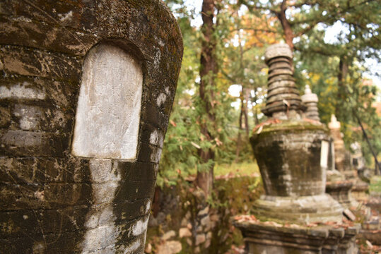 北京潭柘寺古代塔林