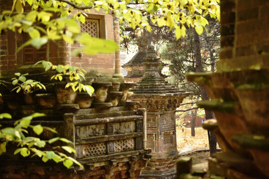 北京潭柘寺古代塔林