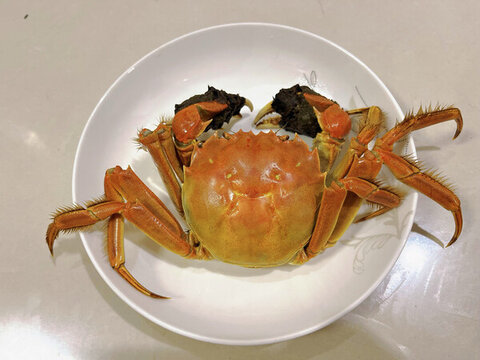 陽(yáng)澄湖大閘蟹