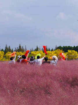 嘉定郊野公園