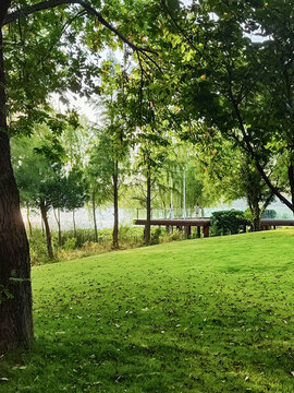 湖邊公園