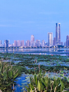武漢沙湖生態(tài)城市