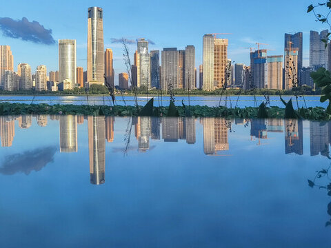 沙湖城市背景