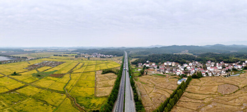 路暢田豐畫(huà)中行