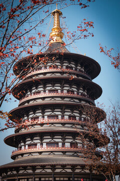 隋唐洛陽城遺址天堂
