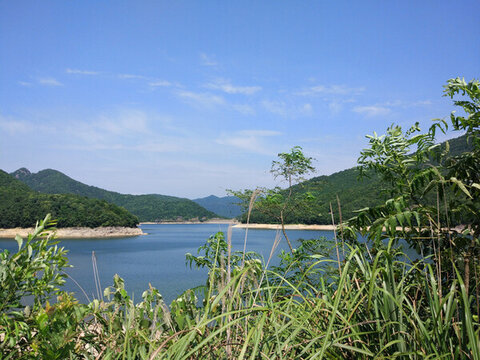 青山綠水