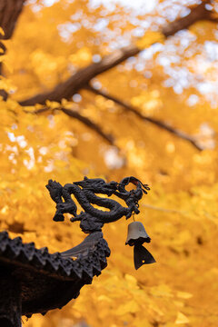 紅螺寺秋景