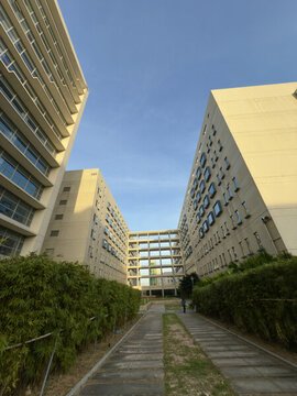 澳門大學校園