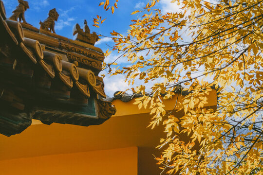 天津掛甲寺