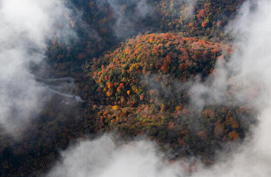 四川省廣元旺蒼光頭山紅葉彩林