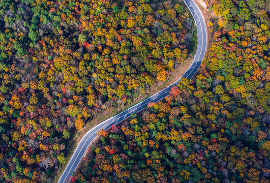 四川省廣元旺蒼光頭山彩林紅葉