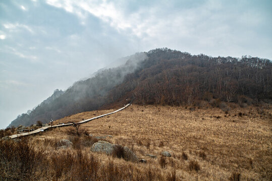 北京百花山