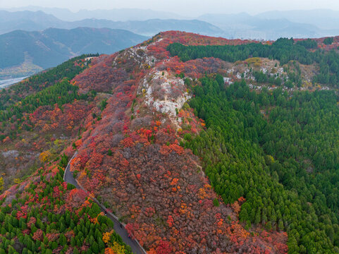 濟(jì)南蚰蜒山紅葉