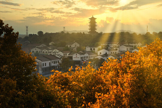 徐州市銅山區(qū)漢王鎮(zhèn)紫山村
