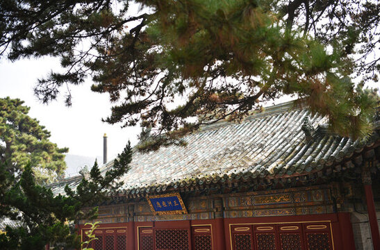 北京潭柘寺秋色