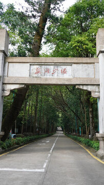鼎湖山道