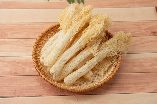 菌類竹蓀