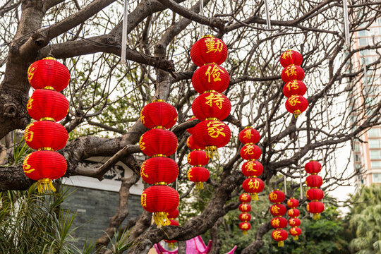 大紅燈籠高高掛