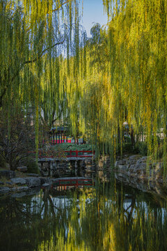 北京中山公園秋色