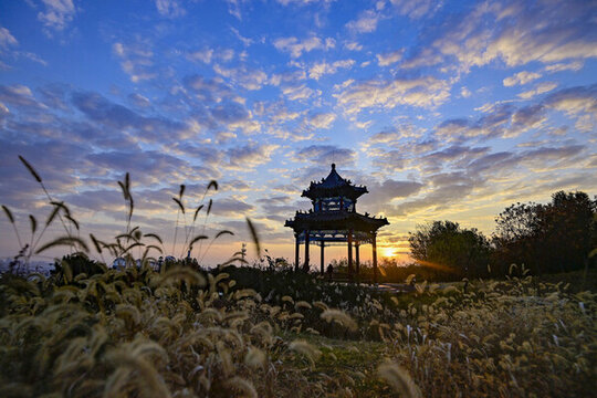 公園晨景