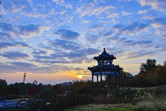 公園晨景