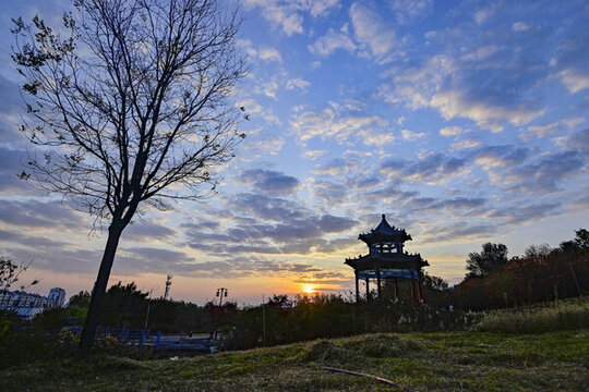 公園晨景