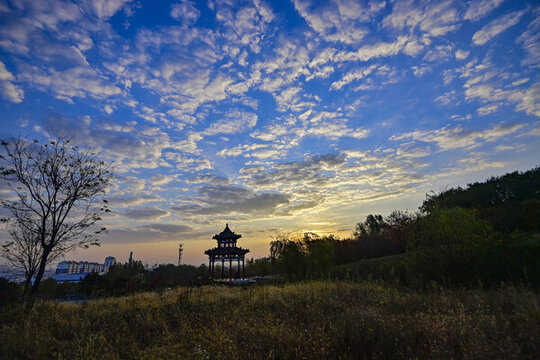 公園晨景