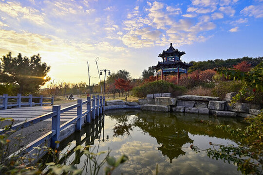 公園晨景