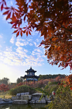 公園晨景