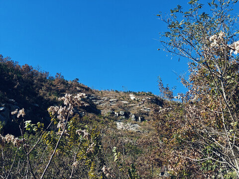 山頂