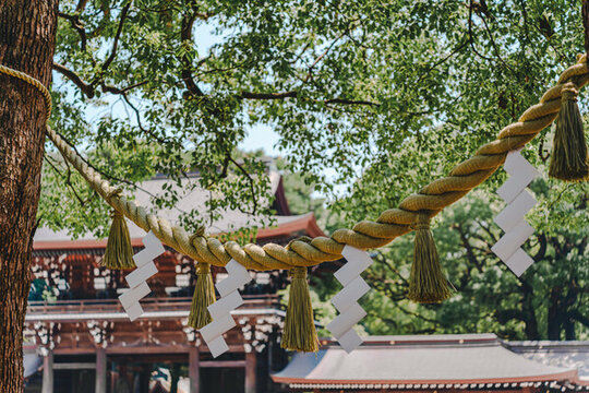 明治神宮