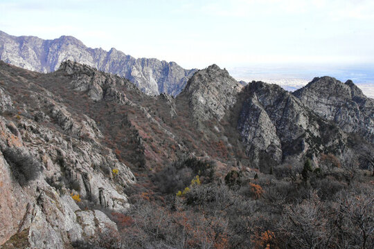 大青山
