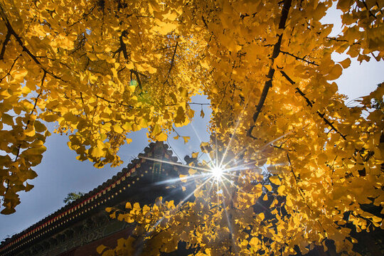 北京承恩寺