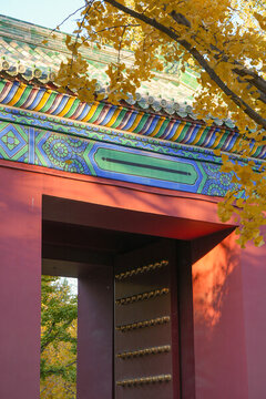 地壇公園的秋天