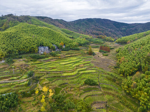 井空里大峽谷