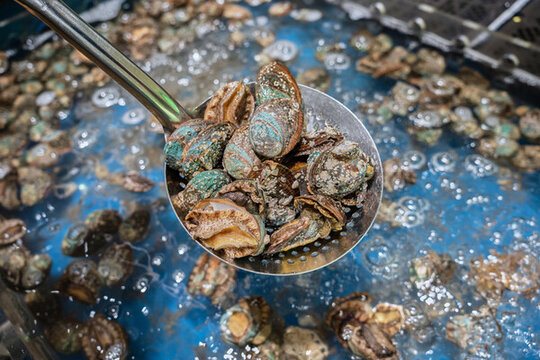鮑魚自助