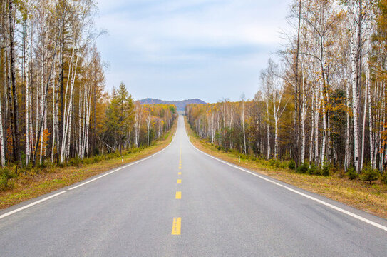 長白山景區(qū)秋天森林里筆直的公路延伸到遠(yuǎn)方