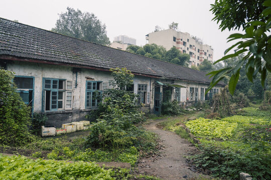 國營老廠家屬院的老房子