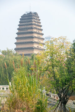 小雁塔遠(yuǎn)景