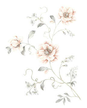 花卉