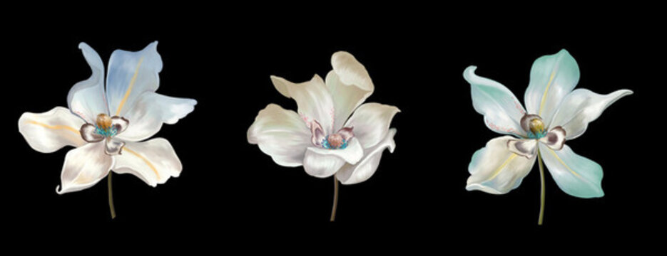 花卉